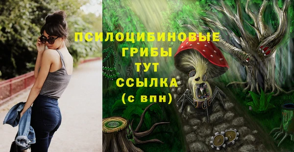 ECSTASY Зерноград